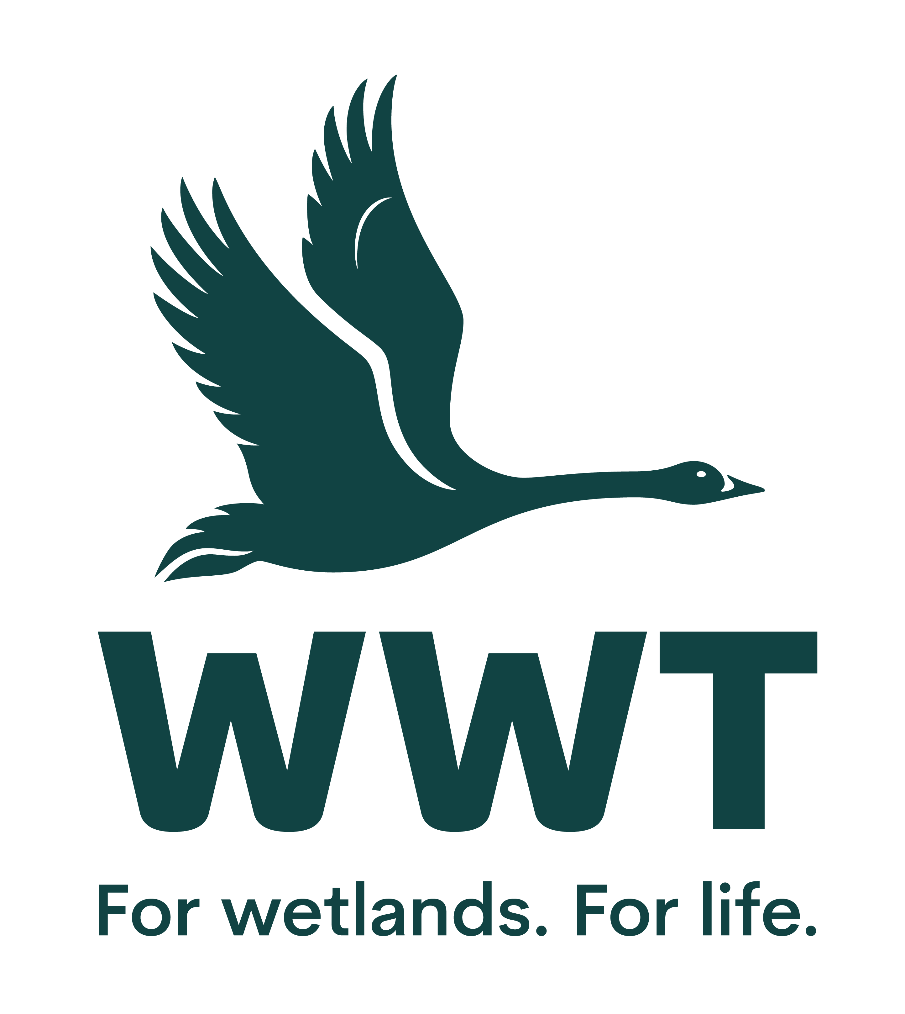 WWT Logo STRAP RBG (1)
