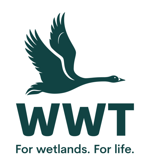 WWT Logo STRAP RBG (1)