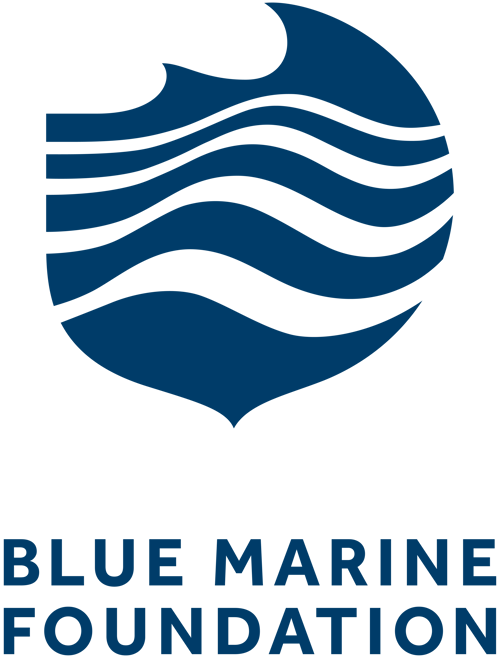 Bmf Logo Rgb